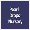 logo of Pearl Drops Nursery