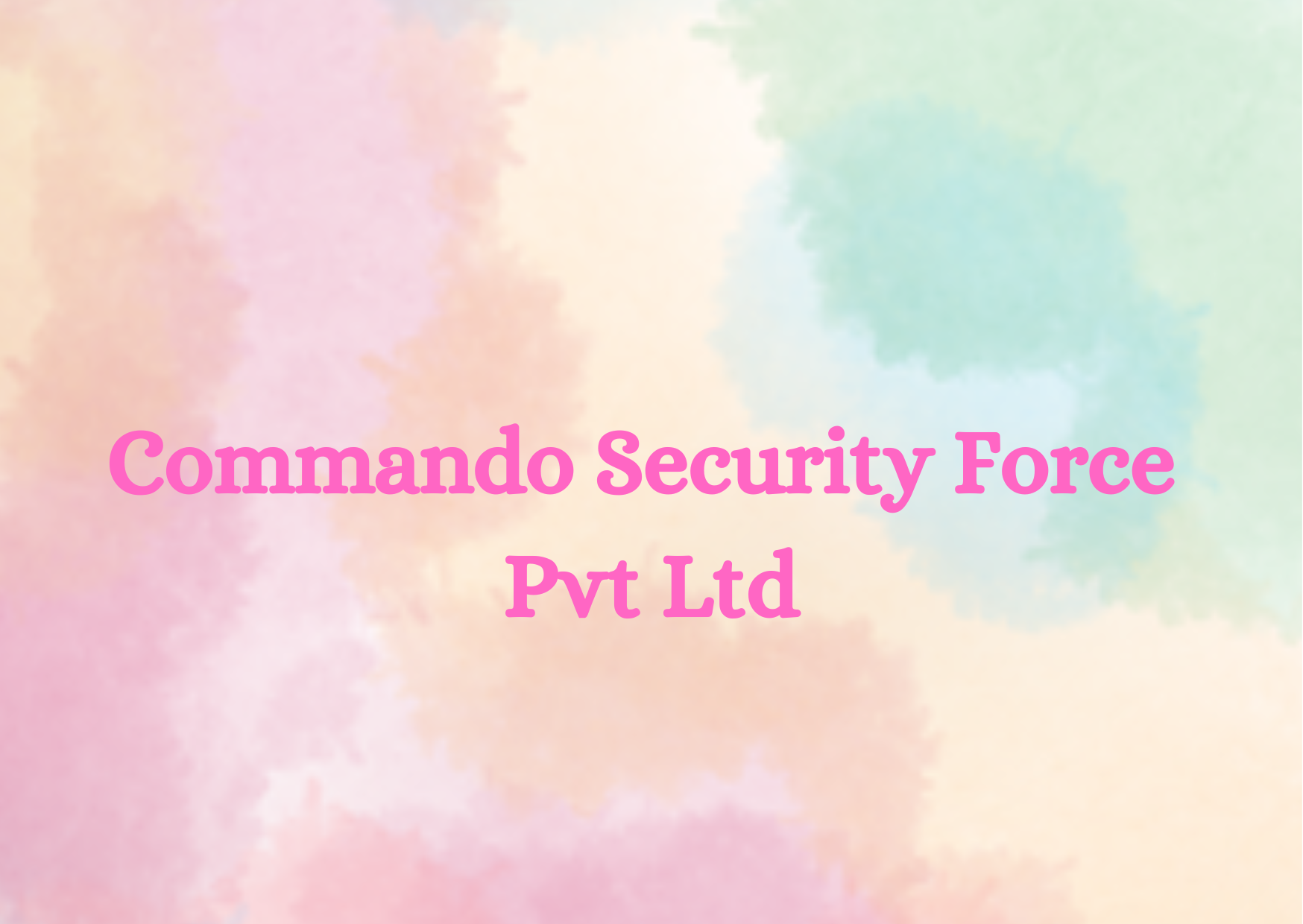  Commando Security Force Pvt Ltd,   