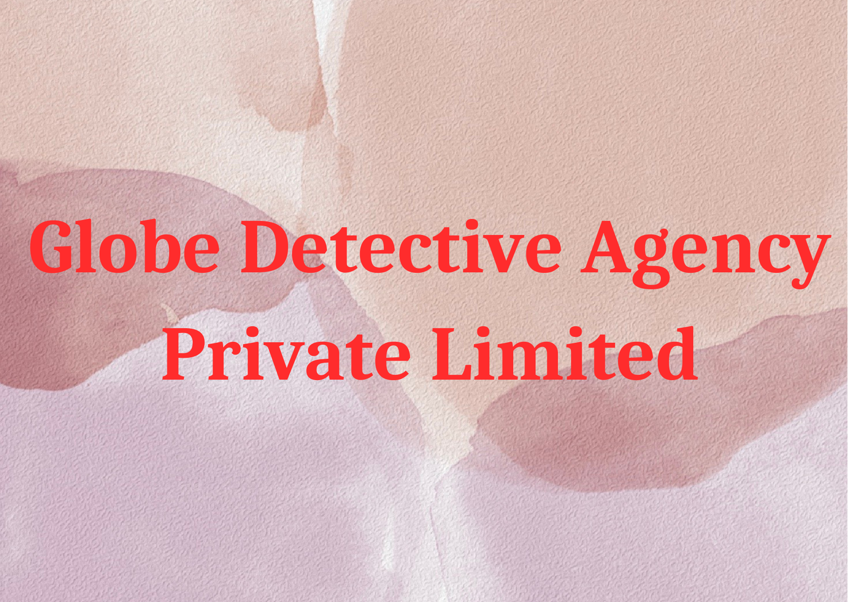 Globe Detective Agency Private Limited,   