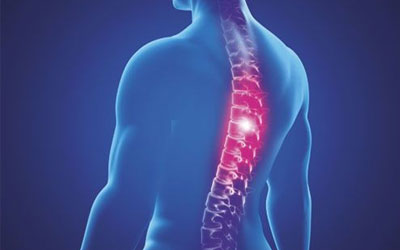 Матрас медифлекс spine care