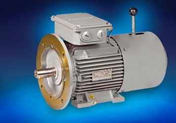 Brake Motors