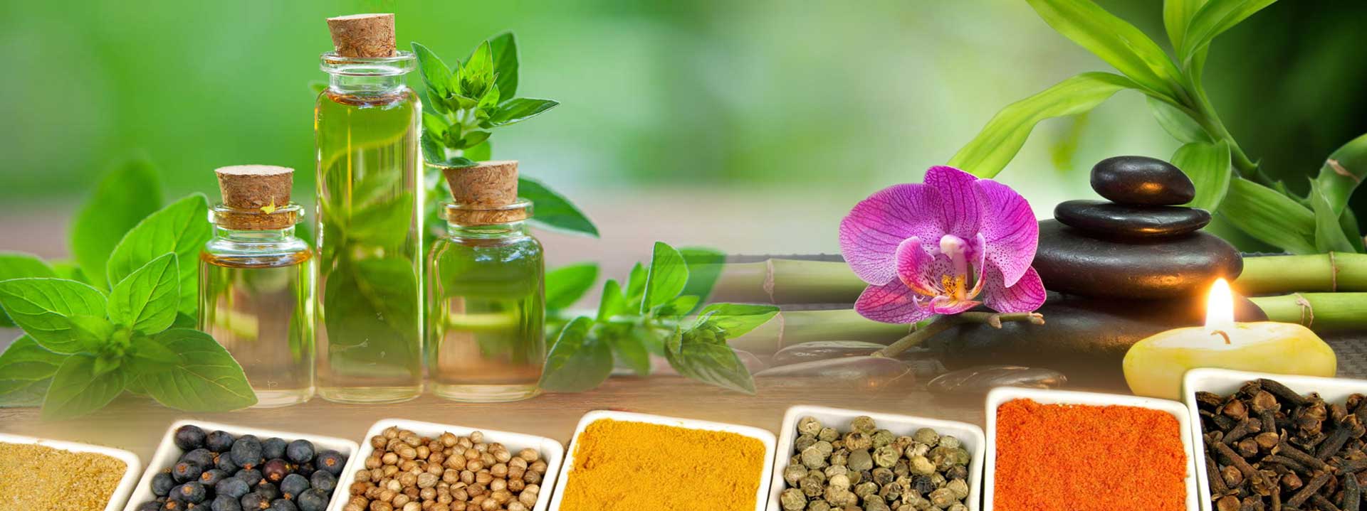 Vaidya Vivek D. Sane, Rambaug Colony, Paud Road, Kothrud, Pune | Ayurvedic Doctors 